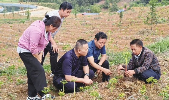 云南怒江探索助力乡村振兴新路径