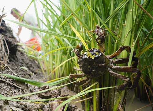 180730-2c.jpg